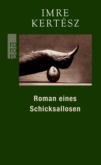 Roman eines Schicksallosen