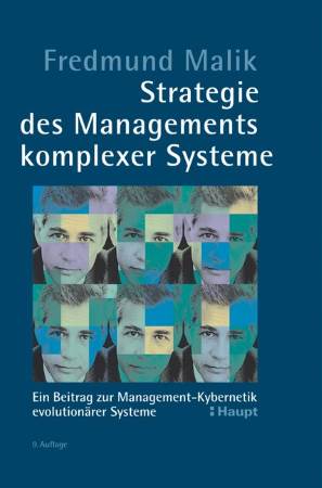 Strategie des Managements komplexer Systeme